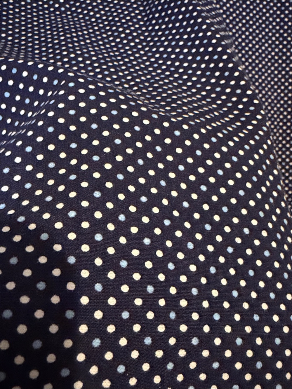 Uniqlo Navy Short-Sleeve Button-Down with White Micro Dot Print - Picture 7 of 7